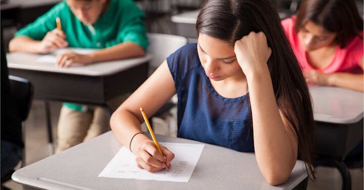 Матура в Польше что нужно знать поступающим - Moja Polska