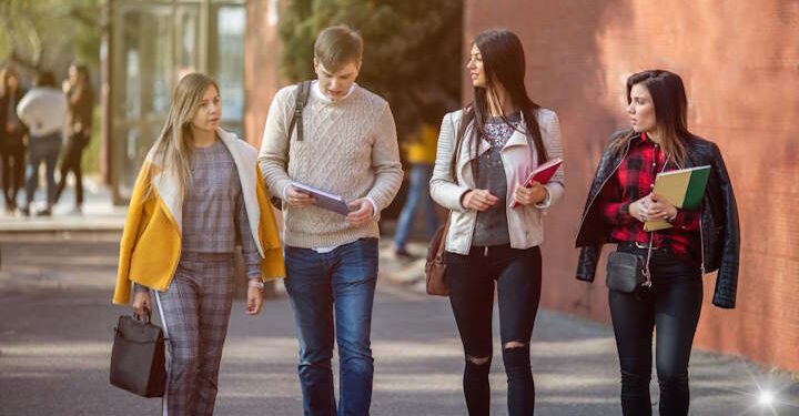 Наиболее выгодные направления обучения в Польше - Moja Polska