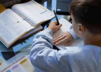 Домашнее задание возвращается в школы Польши - Moja Polska