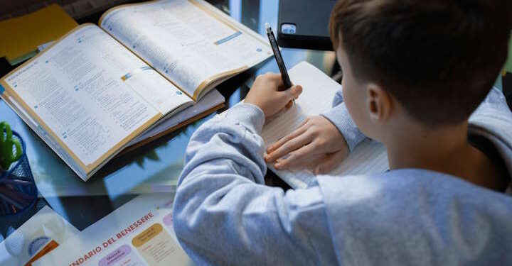 Домашнее задание возвращается в школы Польши - Moja Polska